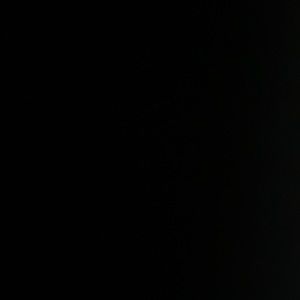 Meet your Posher, Ronan